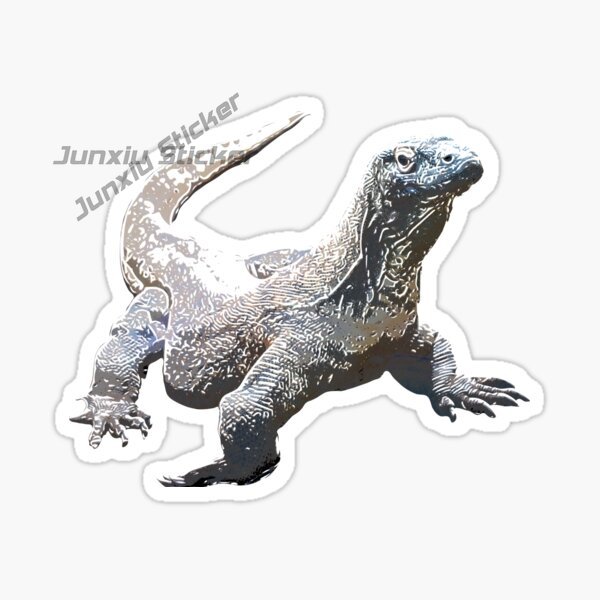 Komodo National Park Komodo Is - đánh giá và giá Car Accessories Bali