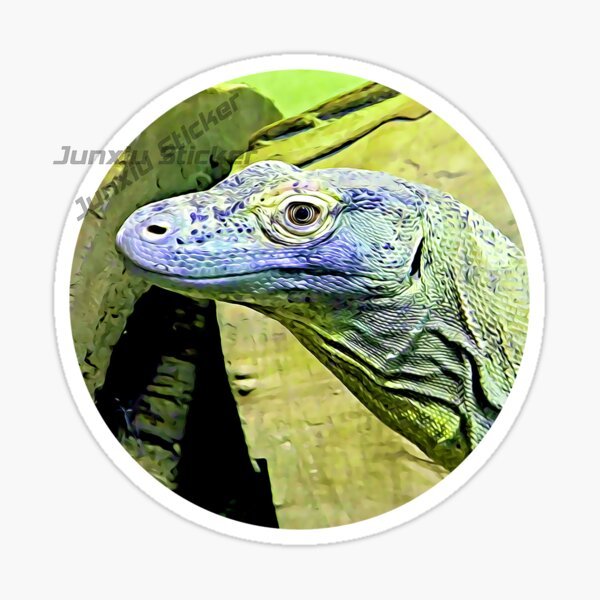 Komodo National Park Komodo Is - đánh giá và giá Car Accessories Bali